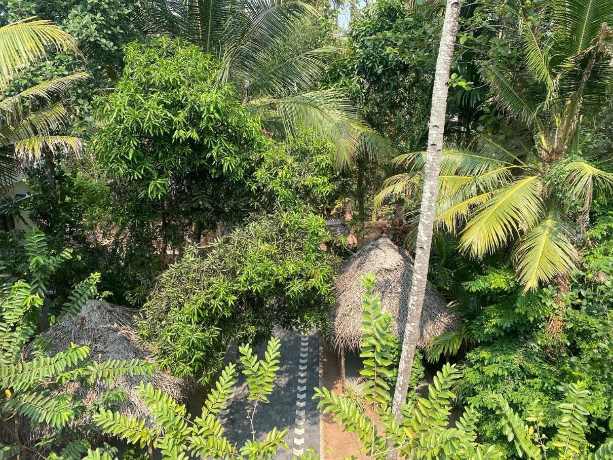 Tattwamasi Ayuryoga With Breakfast And Yoga Hotel Varkala Exterior foto
